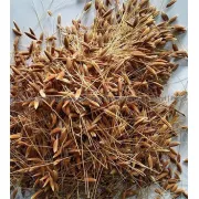 Puja Samagri- Jungye Dhan ((जुङ्ग्य धन) 100g
